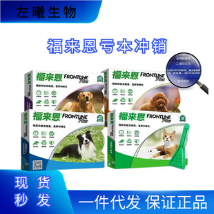 ������С��Ȯ�΄�����Ȯ����Ȯ�ǝ��_��΄�؈�΄������w����x