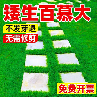 ��Ľ������ļ����ఫ�����޼�e��ͥԺ��ƺ�N���Ͳ�̤�ͺ�������