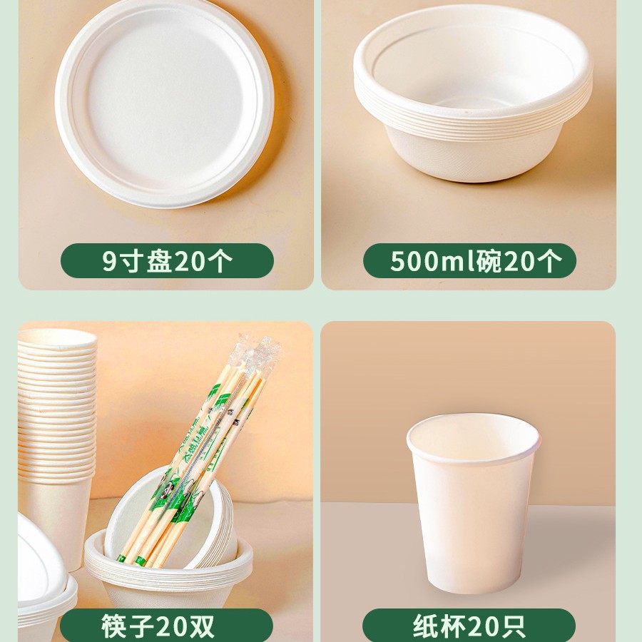 회사파티[ 9inch /500ml/젓가락/컵] 120개