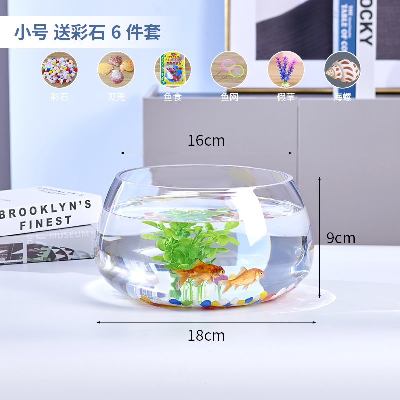 스몰 사이즈 거북이 실린더 컬러 돌 6 조각 세트