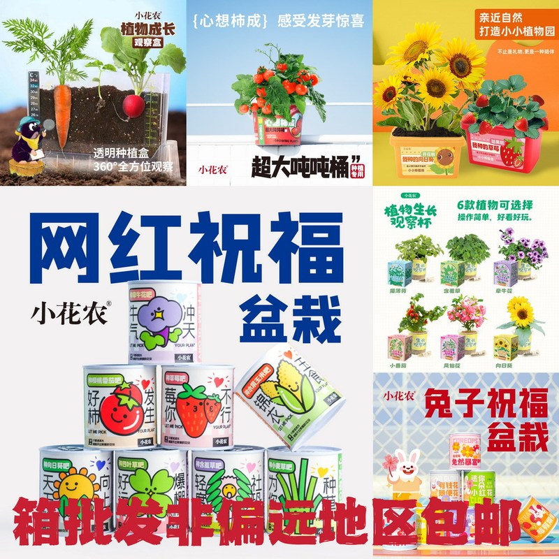 Free Shipping for Small Flower Farmers to Plant Internet Celebrity Blessing Potted Plants Wholesale Plant Growth Observation Box Vegetable, Fruit, Flower and Green Plant Gifts