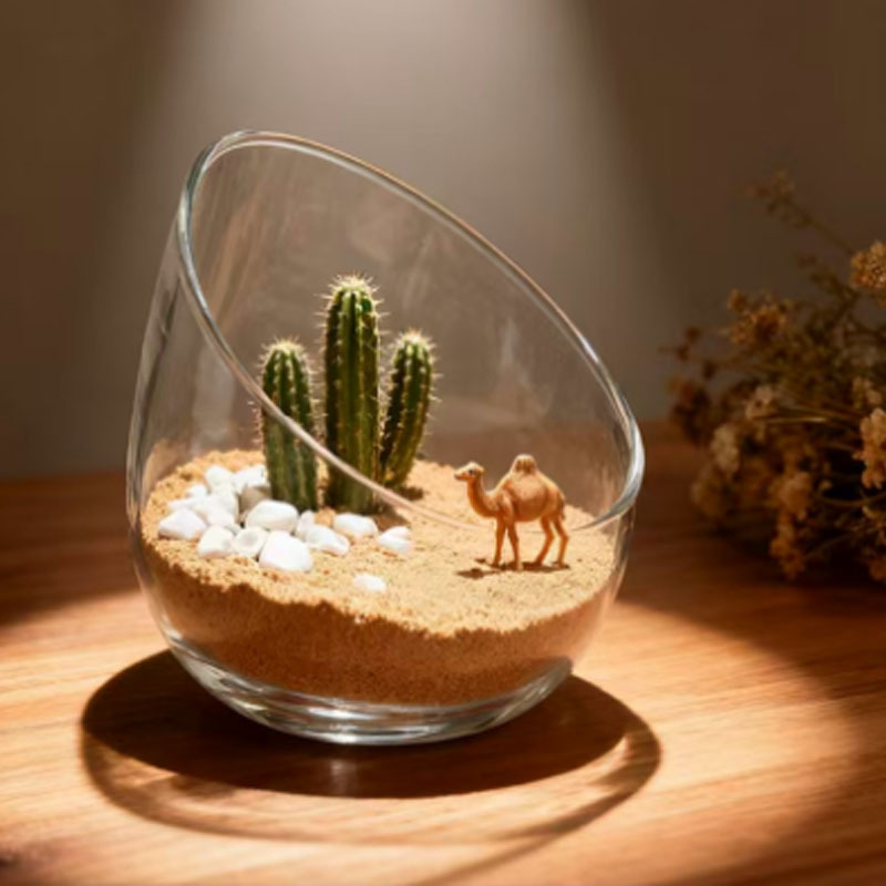 Micro-Landscape Moss Bottle, Succulent Plant Ecological Bottle, High Borosilicate Glass Landscaping Bottle, Lightweight Transparent Potted Plant Bottle, Large and Small Slanted Mouth Bottles