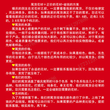 ��}̎�� �F���{ɫϵ ��c��Y�û���  ��픵��Ż�