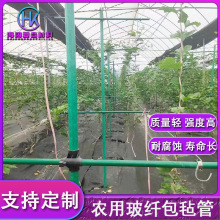 农用玻璃纤维管园艺树木支撑杆遮阳网立柱百香果爬藤玻纤包毡管