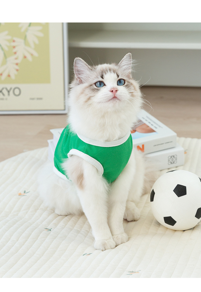 Pet in Vest