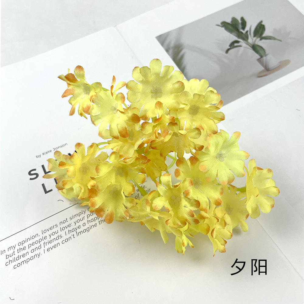 일몰