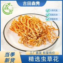 �����خa �x�ݻ�Ӽ�x�ݱ��x���r���خaʳ�þ����x�ݸ�؛ ���Sֱ�l