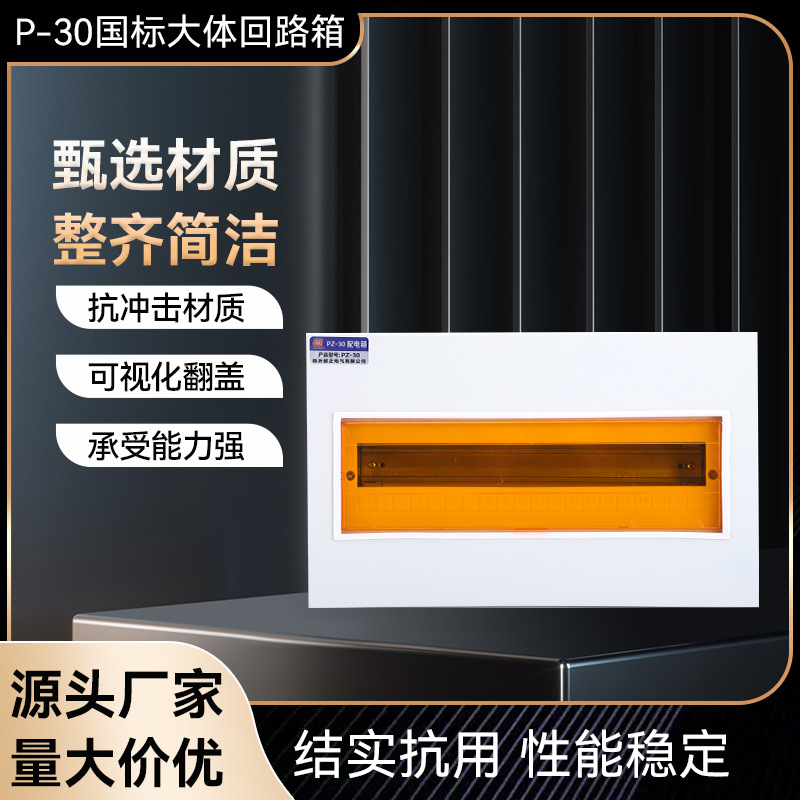 厂家货源P-30大体配电箱 回路箱电箱动力箱 塑料盖板盒盖板电表箱