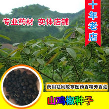 �����ѷN�ӳ�����ɽ�n�Ӵ�ľ����ľ���������㾫ɜ����ɽ�u���N��