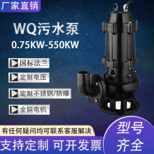 WQ无堵塞潜水排污泵铸铁切割搅匀防爆污水泵船用440V潜水泵