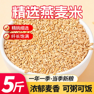 �ڶ���5�����������r���ԷN������ȫ��ѿ��������s�Z�ּZ1��