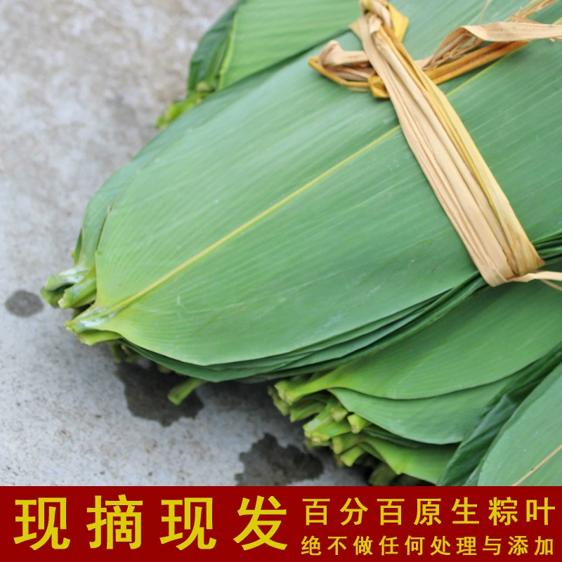 Свежесобранные свободные широкие бамбуковые листья для упаковки зонгзи, большие сушеные листья для коммерческого использования, 500 г.