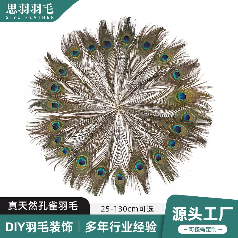 跨境优质天然孔雀毛25-120cm家居装饰长羽毛花瓶插花装饰孔雀羽毛