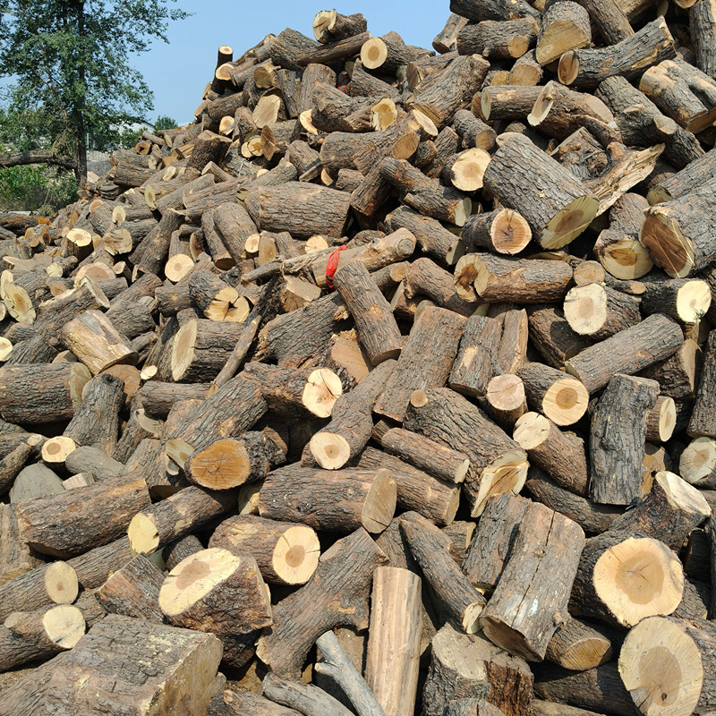 微信图片_20250529094921