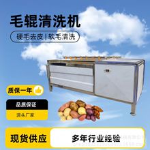 天麻药材清洗机木薯生姜清洗去皮机田螺毛辊清洗设备葛根去泥设备