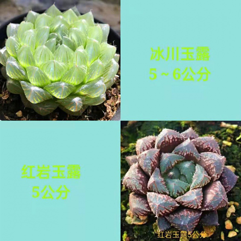 빙하 + 붉은 바위 (무료 컬러 스톤)