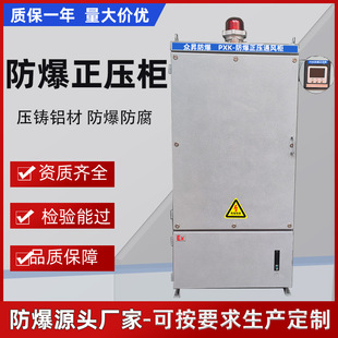 Explosion-proof positive pressure cabinet plc power distribution cabinet frequency conversion control cabinet high-power distribution box carbon steel instrument heat dissipation power cabinet