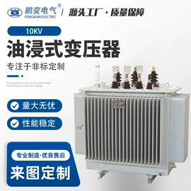 配电变压器;电力变压器;油浸式变压器