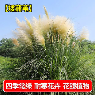 ����Ȕ���Զ������^�p��ͥԺ�����ͺ���ش���ͥԺ�Iˮ�쾰����