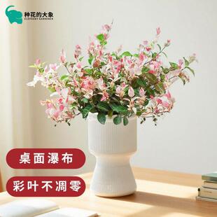 ���~�jʯ�����̨���~�����k��������ͺ��Gֲ�͏d�҃��辰ֲ��