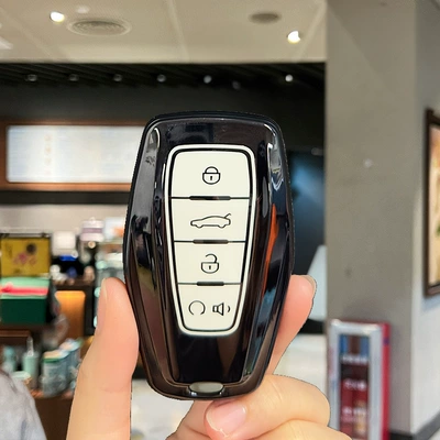 Kong x1 Borui, Car key bag - geely-model-b-black-edge-white-single-shell