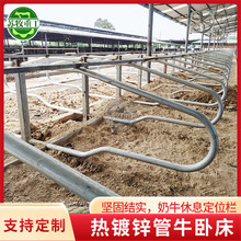 苏牧重工供应牛卧床加厚热镀锌管材一体成型无焊接卧栏片围栏畜牧