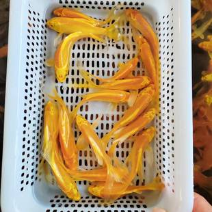 ��ˮ�^�p�~���~�S���\���~���N��ͥ�~���^�p�~����������ؔ�Lˮ�~