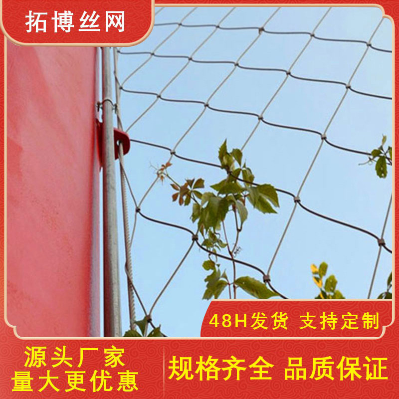 源头厂家供应植物攀爬钢丝绳网高空防坠钢丝绳网304不锈网防护网