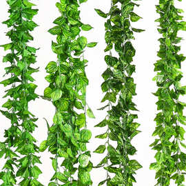 仿真藤条植物葡萄叶爬山虎花藤 绿萝藤条 绿色装饰绿植藤条常春藤