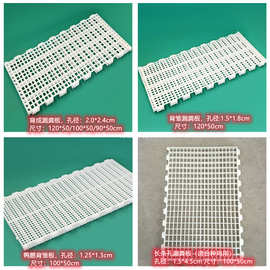 育雏鸡用塑料漏粪板 小鸡苗育雏漏粪网床 可拼接塑料育雏板