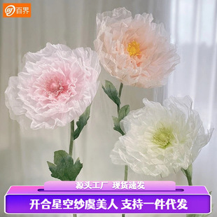 ��̖���滨�����˻�c��Y·����늄��_�ϻ��̈���������b���