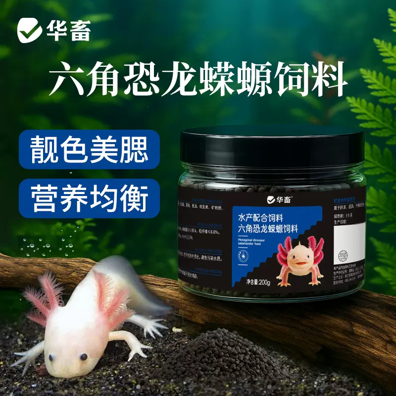 六角恐龙鱼饲料三角冷水鱼金鱼萌宠原生鱼观赏鱼活体蝾螈小颗粒