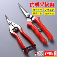 �N�^ժ����@ˇ����/�@�ּ���/��֦��/��֦��/�ɹ������@����