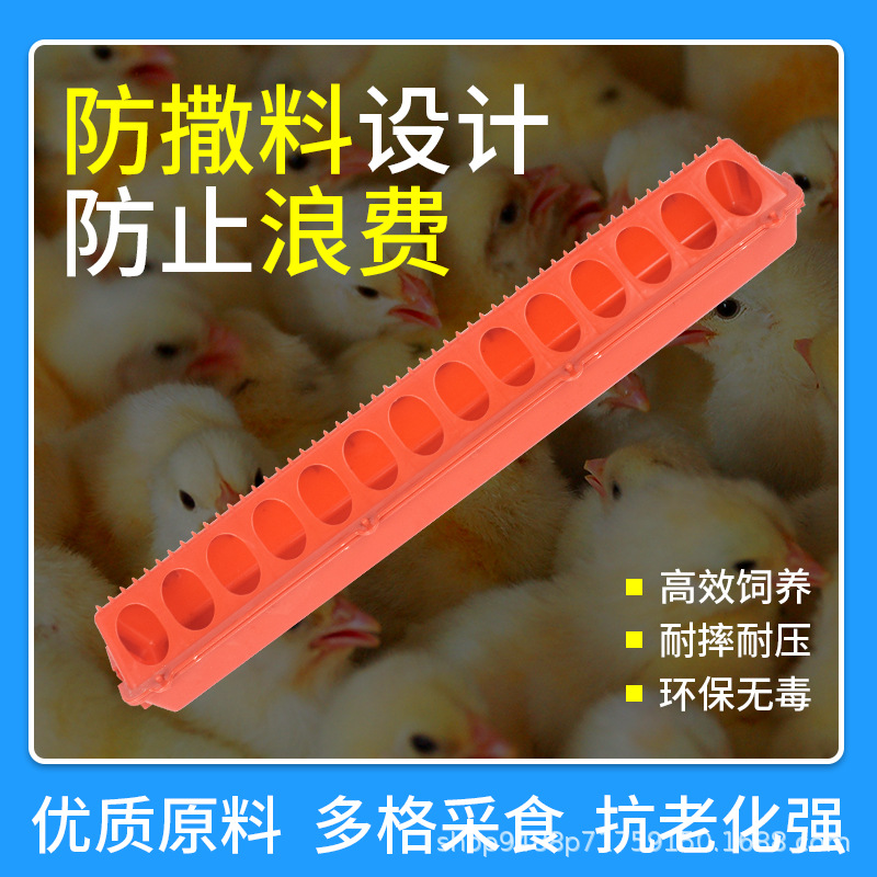 Alimentador de pollo largo comedero dispensador de agua potable de pollo artefacto pato ganso comedero aves de corral cría anti-dispersión costura