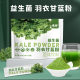 Finch bee probiotics kale powder dietary fiber green juice meal substitute fruit and vegetable powder kale wholesale