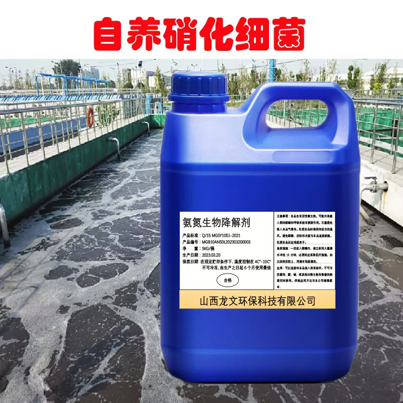 自养硝化细菌好氧菌污水处理去除降解氨氮水产养殖亚盐硝化菌