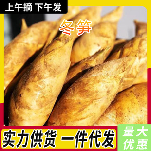 �F؛���S���r�Sѿ�F�ڬF�l�S�๰�S��ȥ�ϸ��r�Ҿ�Ʒ��S������]