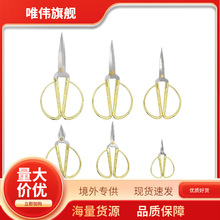 PP ϲcϽòÿp YƷ _Iʼ