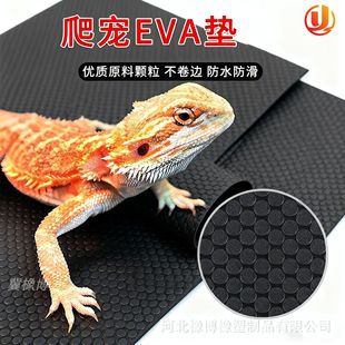 RdBO׉|K۷ץĥˮAcyEVA|