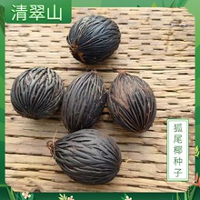 ��βҬ�ӷN��ͥԺ���ԾG����ľǧ�z����DIY�N���^�p�����p��;