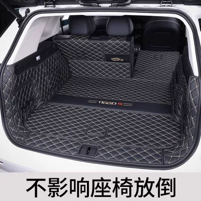 Trunk Mat: Trunk Mat Encloses 23-24