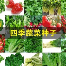 lļ߲˷Nuë˷NСײͲ̨߲ѷN