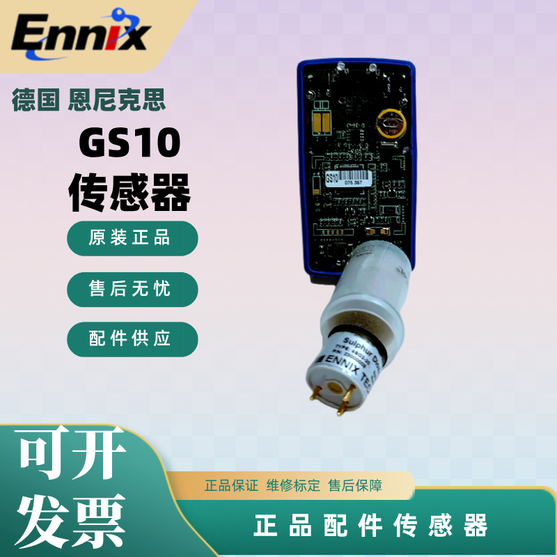 恩尼克思ENNIX GS10扩散式气体检测仪配件 硫化氢传感器
