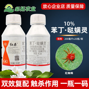 ����t��10%�����}�\�`�t֩�뚢�\���������a���٘������rș�_�M