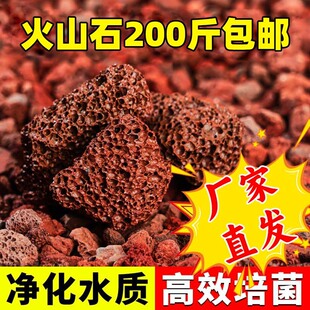 Red Volcanic Stone 100kg Free Shipping Manufacturer Direct Flower Bed Paving Landscaping Pool Special Filter Bottom Sand Volcanic Stone