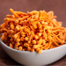 �|���x�ݻ���؛���l�ӌ��w�����^Ӽ�x��ɢ�b��؛���x��