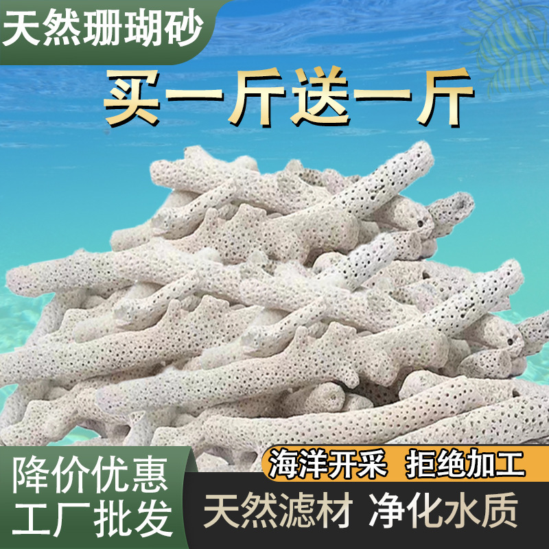 ⭐鱼缸过滤材料天然珊瑚骨底砂净化珊瑚石造景滤材锦鲤鱼池珊瑚砂