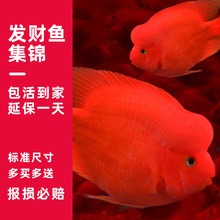 ���^ؔ��Ѫ�W�^�~���~�lؔ�~�Ꭷ�^�p�~�tԪ�����w�~�����^��ؔ�~