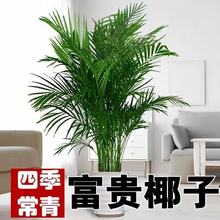 ���ڸ��FҬ�Ә��҃ȿ͏d�k���Ҵ��;Gֲ����ȩ�����՚�����