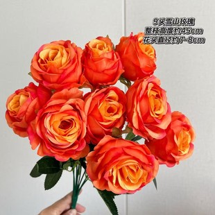 ������^ѩɽõ�廨  ��Y�����b�·�����Ų廨�羳���Q�S�����l